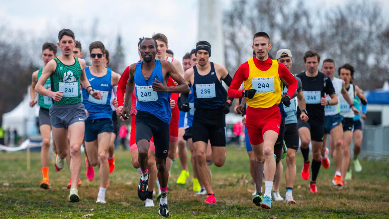 59.⁠ ⁠Beli kros na Ušću u Parku prijateljstva